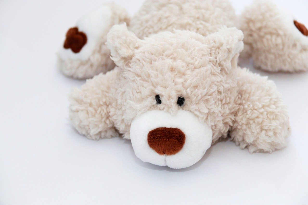teddy, cuddly toy, stuffed animal, white, brown, cuddle, toy, children, cute, stuffed animal, toy, toy, toy, toy, toy